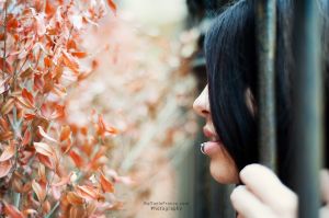 DSC_4712.jpg